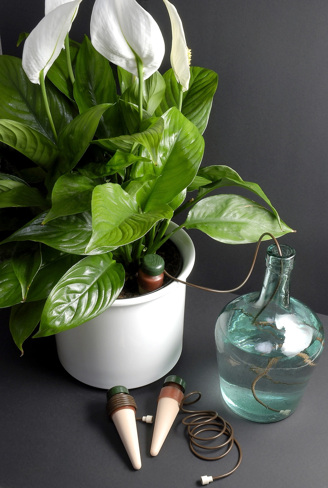 Blumat Classic Automated Self Watering Systems XL size Pack of 2