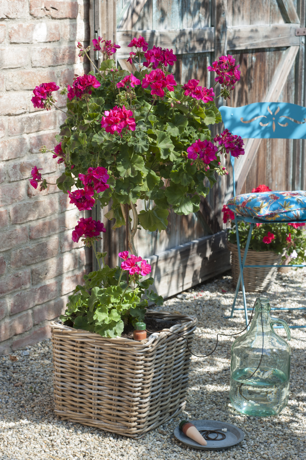 Blumat Classic Automated Self Watering Systems XL size Pack of 2