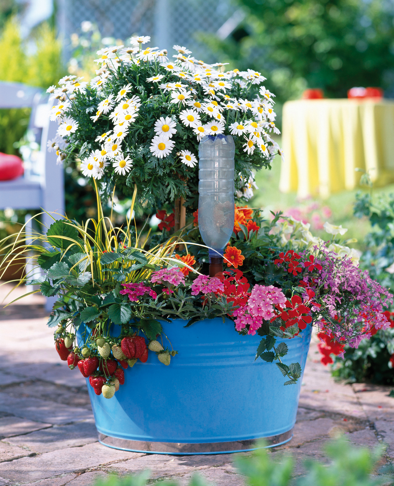 Blumat Easy Watering adapter