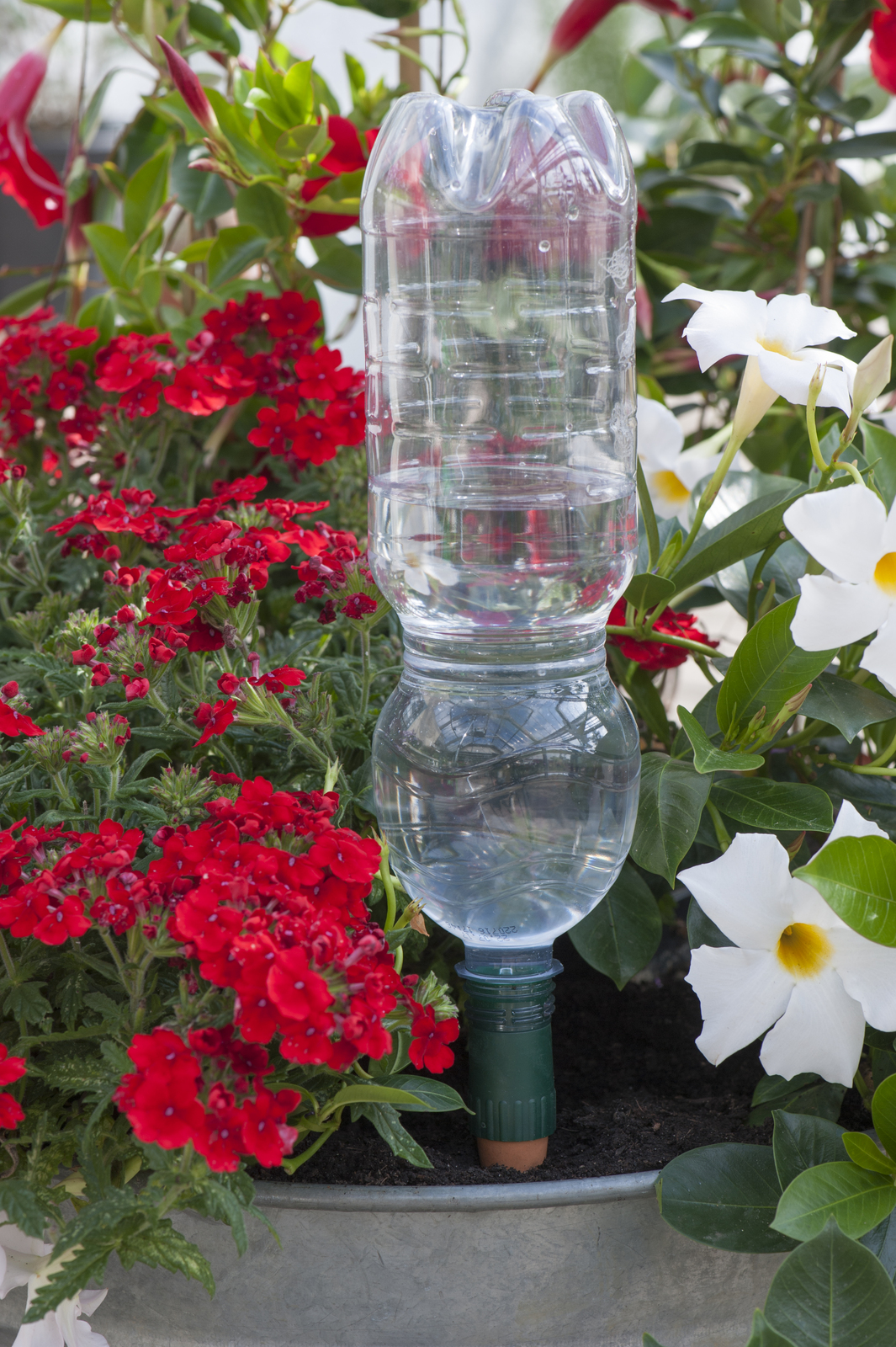 Blumat Easy Watering adapter