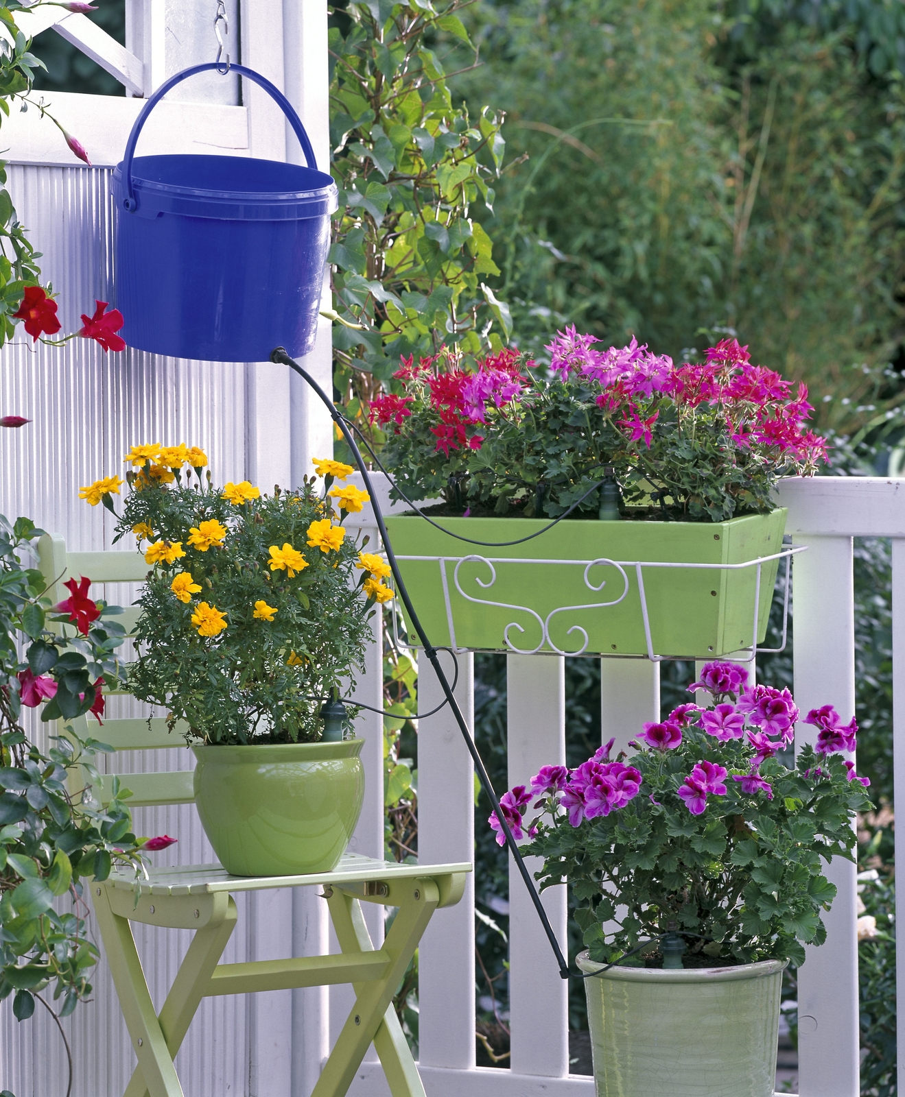 Tropf Blumat Drip Self Automated Watering System 3m Set for Garden