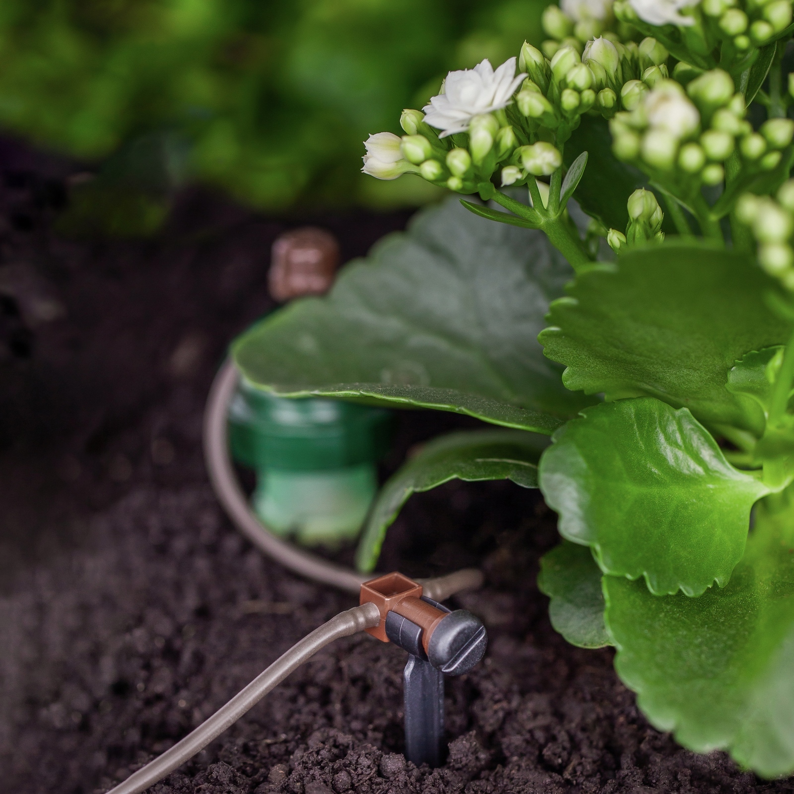 Tropf Blumat Drip Self Automated Watering System Pack of 2