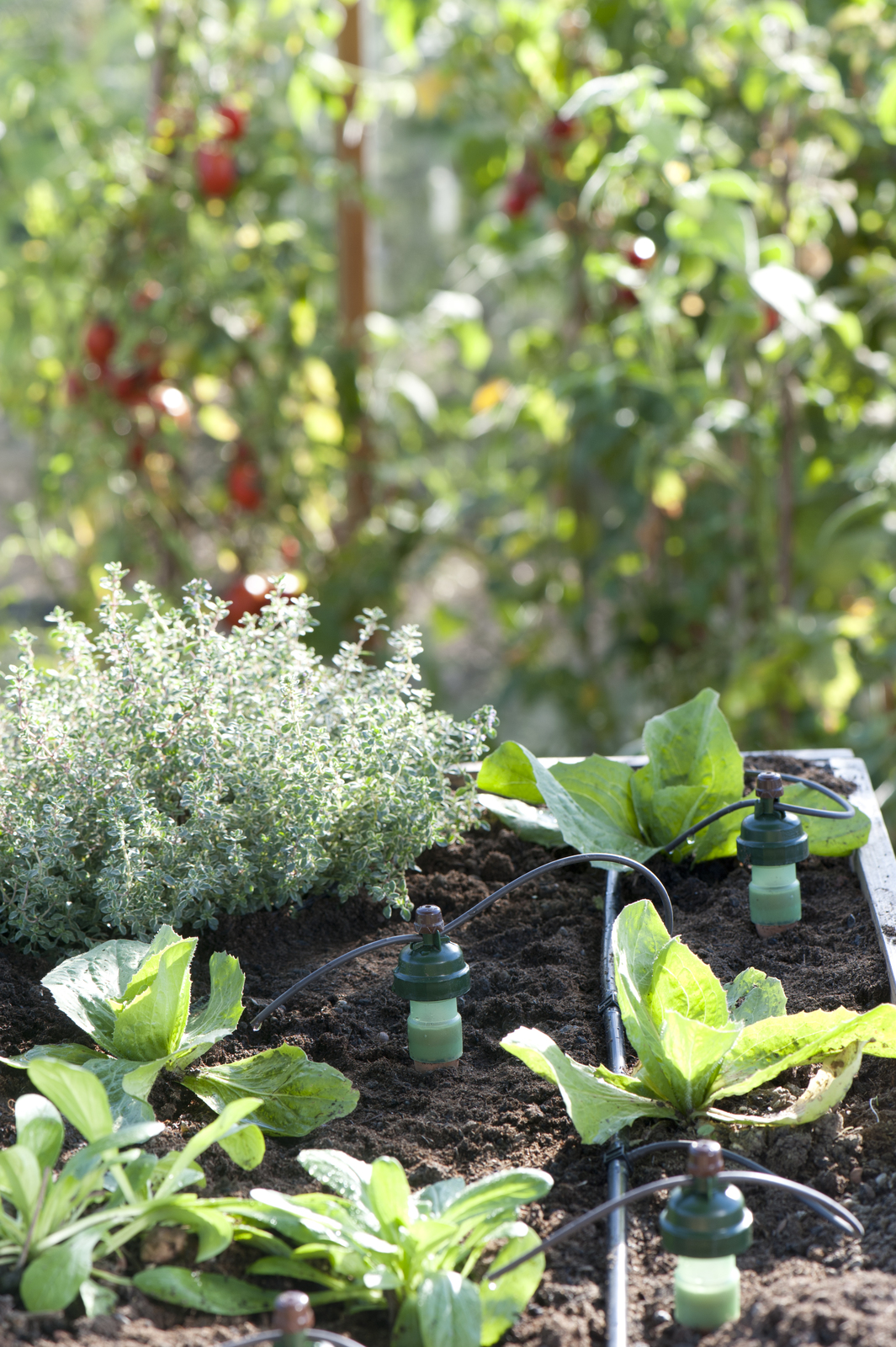 Tropf Blumat Drip Self Automated Watering System Pack of 2