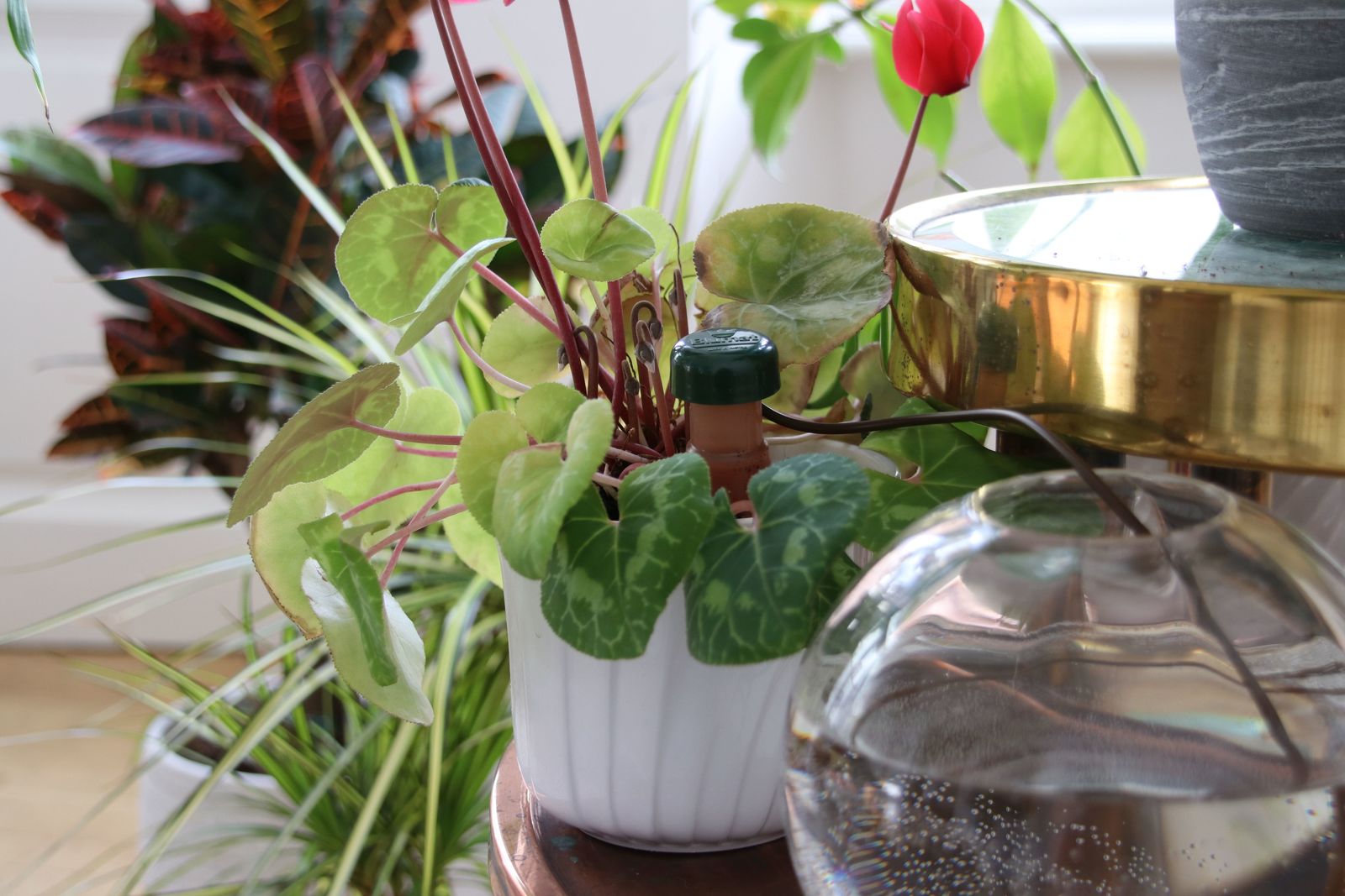 Blumat Classic Automated Self Watering Systems Triple Pack