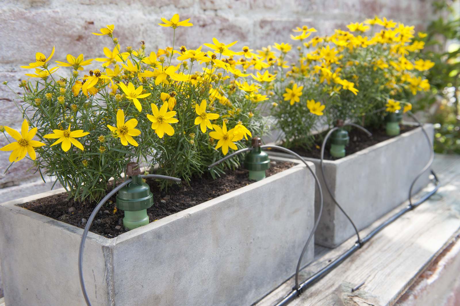 Tropf Blumat Drip Self Automated Watering System Pack of 2