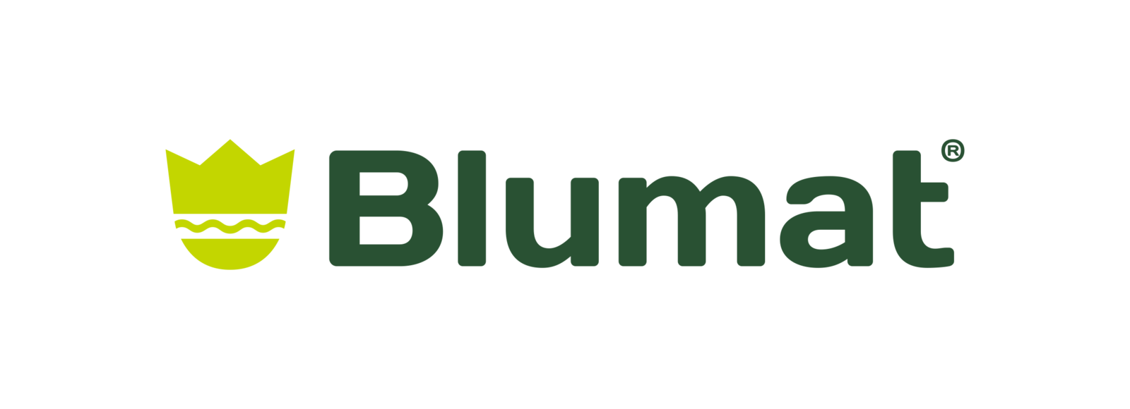 Blumat Classic Automated Self Watering Systems XL size Pack of 2