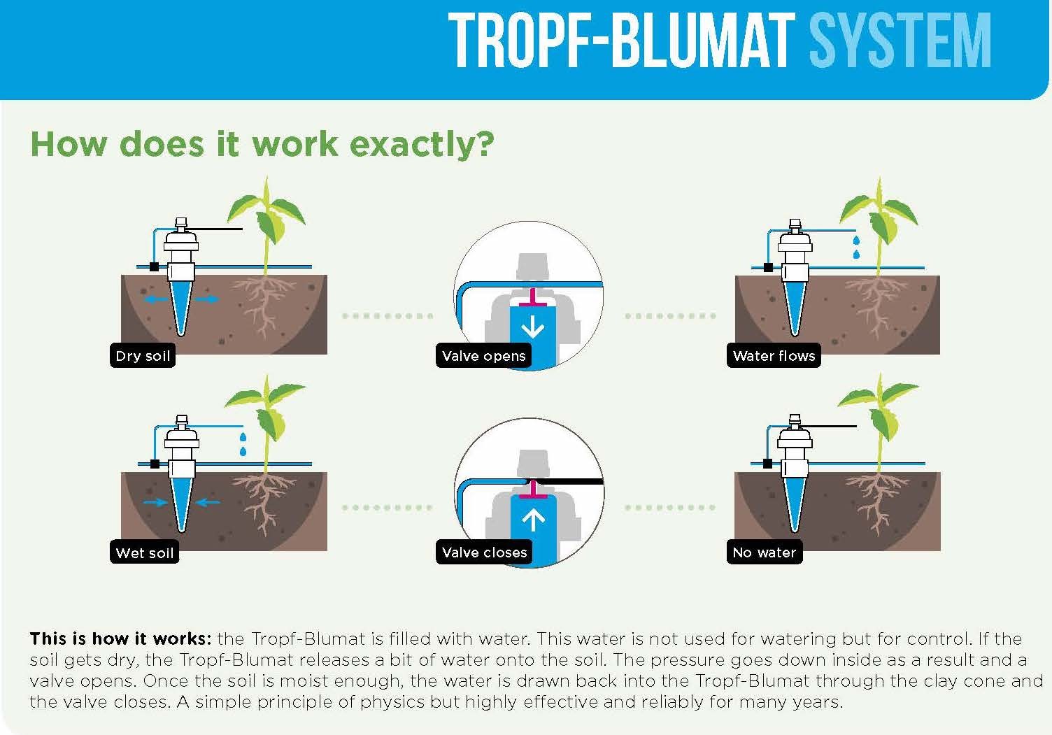 Tropf Blumat Drip Self Automated Watering System 3m Set for Garden